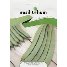 Nesil Fasulye Gina Oturak Tohumu 25 GRam