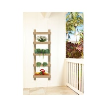 Duvara Monte Raflı Saksı