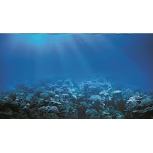 Kanki Pet 85 Cm Akvaryum Arka Fon Yapıştırma KP8550022