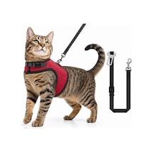 Heads Up For Tails Tahılsız Kuzu Etli Ve Yaban Mersinli Yetişkin Kedi Sı 5 Kg 100 G