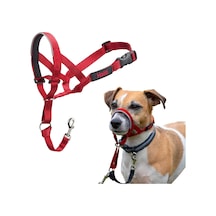 Company Of Animals Baş Tasması - Dolgulu Burun Bandı, Ayarlanabilir Ve Yansıtıcı, Küçük Köpekler İçin Profesyonel Çekme Önleyici Eğitim Yardımcısı Boyut 1, Kırmızı