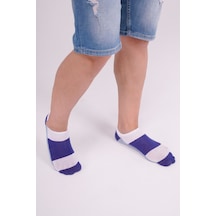 The Socks Company Erkek Çorap 23sdcr156p Renkli