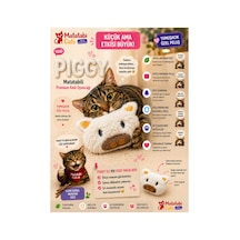 Piggy Peluş Kedi Oyuncağı Matatabi İçerikli, Dayanıklı, Kediler İçin Eğlenceli Oyuncak