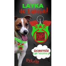 Petjoo 22.Layka Kırmızı-Yeşil Qr'lı Köpek Künyesi