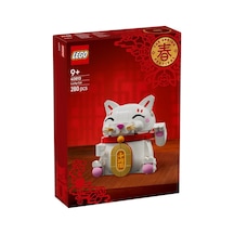 Lego İconic Şanslı Kedi 40813