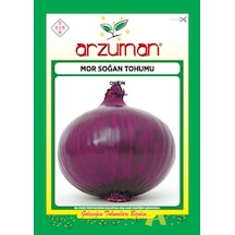 Arzuman Mor Kuru Soğan Tohumu 5 G