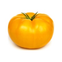 Nadir Dev Italyan Sarı Pileli Domates Tohumu 10 Tohum
