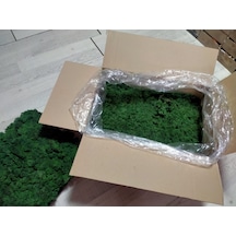 Trend Bahçe Reindeer Moss Dark Green Şoklanmış Norveç Yosunu 4 KG