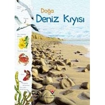 Doğa - Deniz Kıyısı - Sarah Courtauld - Tübitak Yayınları