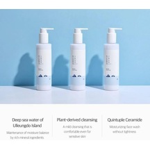 Roundlab 1025 Dokdo Cleansing Milk Yüz Temizleyici 200 Ml