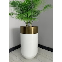 Havana Luxury Fitillişeritlitek Kat