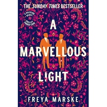 A Marvellous Light: A Dazzling, Queer Romantic Fantasy Çok Renkli
