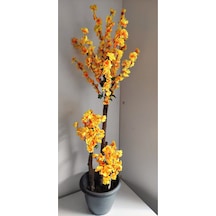 Rüzgar Çiçekcilik 140 Cm Sarı Bahardali Sarı