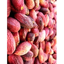 Antep Fıstığı Ağaç Altı 1 KG