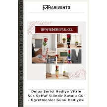 Çok Renkli
