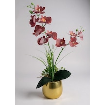 Yapay Çiçek Islak Orkide Gold Metal Saksıda Saksıda Orkide 50cm