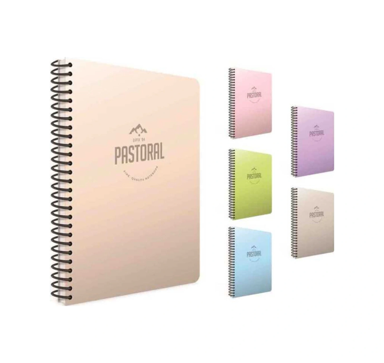 Pastoral Spiralli Plastik Kapak Çizgili Defter A4 60 Yaprak