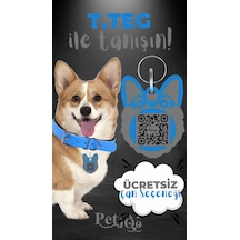 Petjoo 15.T.Teg Gri-Mavi Qr'lı Köpek Künyesi
