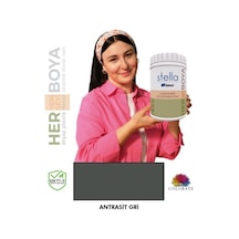 Stella Serisi Yeni Nesil Yüzey Dönüşüm Boyası - Antrasit Gri Diğer