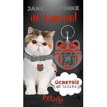 Petjoo 5.Jane Martinke Kırmızı-Gri Qr'lı Kedi Künyesi