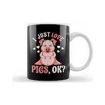 Cute & Funny I Just Love Pigs, Ok Baby Pig Kupa Bardak Porselen Karışık
