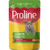 Proline Kuzu Etli Kedi Konservesi 85 G