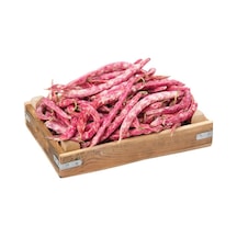 Sırık Barbunya Tohumu Ekim Seti Fasulye Tohumu 15 Tohum Saksı Toprak Kombin