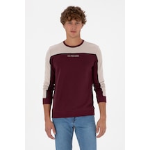 U.S. Polo Assn. Erkek Regular Fit Bisiklet Yaka Bordo Sweatshirt 50315507-VR177