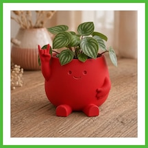 Vaveni 3d Baskı Smiley Face Planter - Gülümseyen Karakterli Saksı-kırmızı Arz