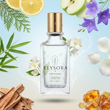 W017 - Kadın Parfüm Aromatik
