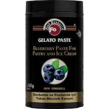 Fo Yaban Mersinili Dondurma ve Pastacılık İçin Karışım 1600 G