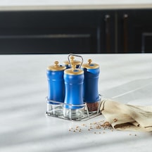 Blue Berry 5 Parça Cam Baharat Takımı Çok Renkli