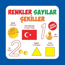 Renkler - Sayılar - Şekiller Türkçe-ingilizce - Dppq-815375