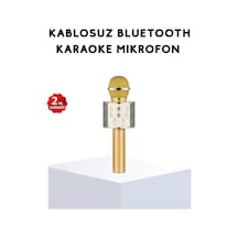 Tr Karaoke Mikrofonu Bluetooth Usb Aux Girişli Yankı Efektli
