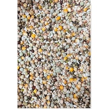 Kuşlara Çimlendirmelik Filizlendirmelik 11 Çeşit Tohum 1 KG