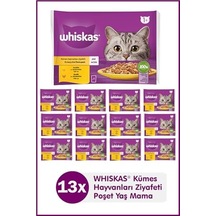 2As Whiskas Jelly'de 1+ Yetişkin Tavuk Kümes Hayvanı Seçimi, 40 Torba, Yetişkin Islak Kedi Yemi, Megapack 40 X 85 G 12 Gri