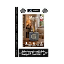 Dekor Lamba Nostaljik Ürün Ambiyans Işığı Bluetooth Hoparlör Vintage Gaz Lambası D53 Gri