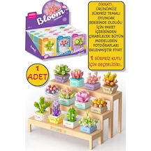 Sürpriz Saksı Çiçekleri Sukulent Serisi 3d Puzzle - 1 Adet
