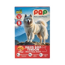 Pets And Plants Pap Dana Ense Sinir Sakat Et 120 G