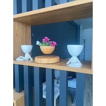 Pcd200 Uçan Saksı