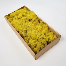 Reindeer Moss Sarı Şoklanmış Norveç Yosunu 250gr