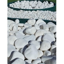 Dolomit Taş 20 Kg 6-10 Cm Beyaz Dolomit Bahçe Taşı Çakıl Taşı Saksı Taşı Akvaryum Teraryum Taşı