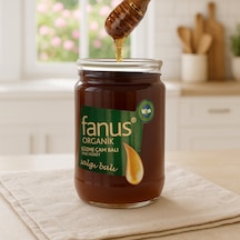 Fanus Organik Çam Balı 850 G