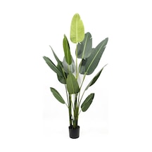 Yapay Ağaç Muz Ağacı Salon Bitkisi 200Cm 21Yaprak