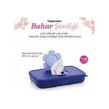 Tupperware Islak Mendil Kutusu Ince Mendil Saklama Kutusu Çok Renkli