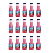 Link Çilek Aromalı İçecek 200 Ml X 15 Adet