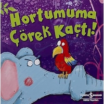 Hortumuma Çörek Kaçtı + Postayla Gelen Deniz Kabuğu + Taşların Anlattığı + 11 Kitap Set