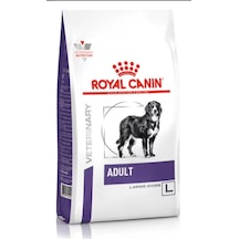 Royal Canin Expert Adult Large Dog 13 Kg Büyük Irk Köpek Maması - Eklem Ve Sindirim Koruyucu