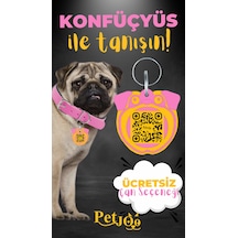 Petjoo 9.Konfüçyüs Sarı-Pembe Qr'lı Köpek Künyesi