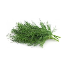 Sebze Dere Otu Tohum Dereotu Tohumu 100 Tohum + Spriz Tohu